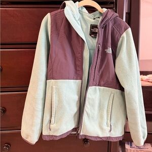 The North Face Mint Hooded Fleece Jacket